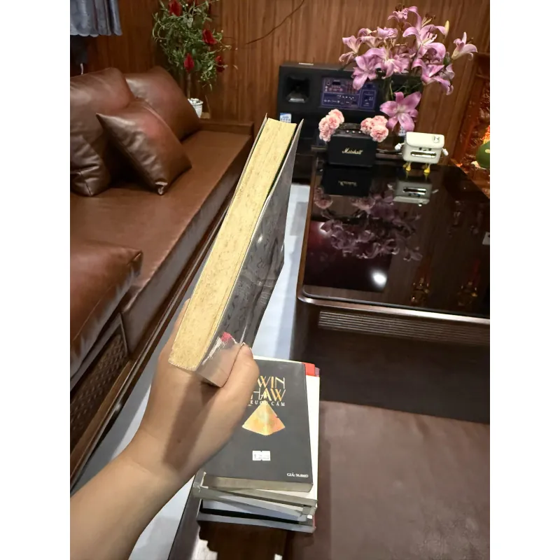 Có Hai Con Mèo Ngồi Bên Cửa Sổ – Nguyễn Nhật Ánh | Truyện dài nhẹ nhàng, sâu lắng 977772