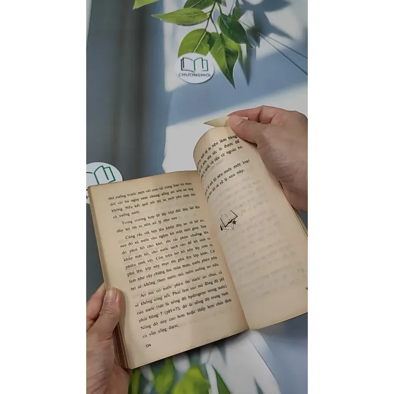 [XƯA] Thú Chơi Cá Kiểng Xưa Và Nay (1996) - Việt Chương 775981