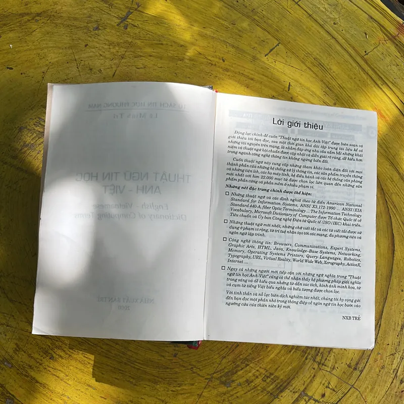 THUẬT NGỮ TIN HỌC ANH - VIỆT ENGLISH- VIETNAMESE DICTIONARY OF COMPUTER TERMS- LÊ MINH TRÍ 702041