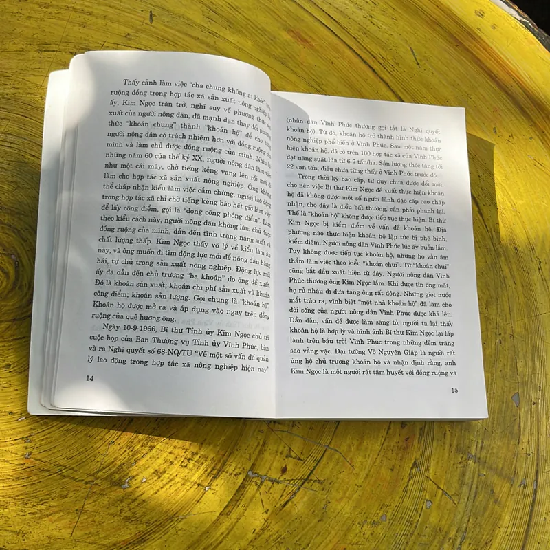 VIỆT NAM TỪ THỜI BAO CẤP ĐẾN THỜI KỲ ĐỔI MỚI- PGS.TS. ĐỨC VƯỢNG 673725