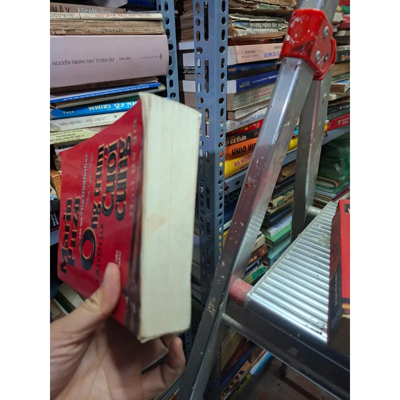 Mario Puro  ông trùm cuối cùng hậu bố già 723386