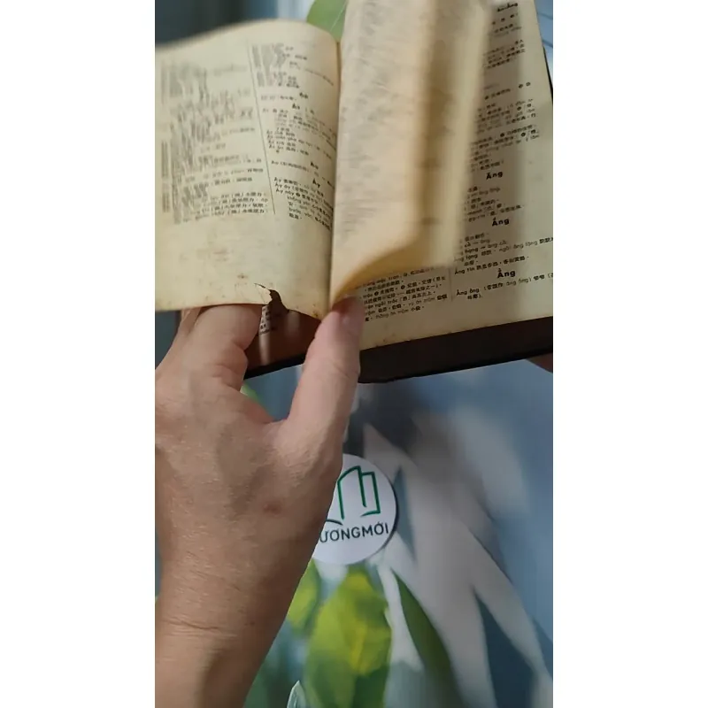 [MIỄN PHÍ BỌC SÁCH] Từ Điển Việt Hán Tối Tân 749553