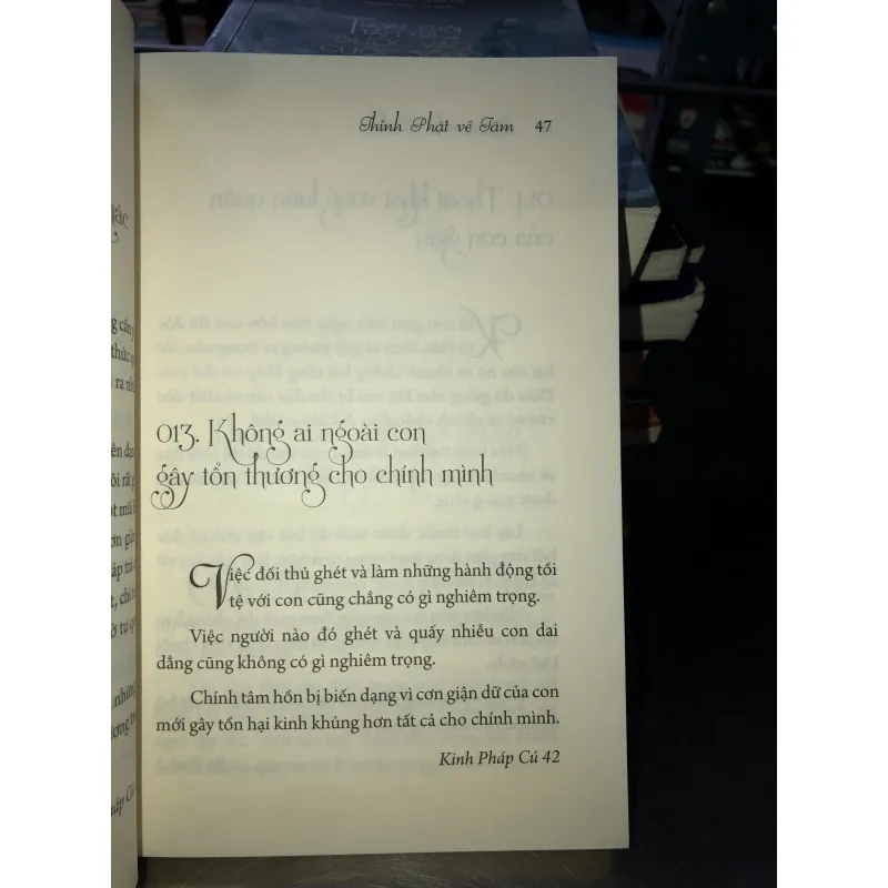 Thỉnh Phật về tâm - Lời Phật dạy viết bằng ngôn ngữ hiện đại - Ryunosuke Koike  1041654