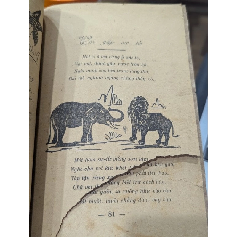 Cách ngôn giáo khoa 999873