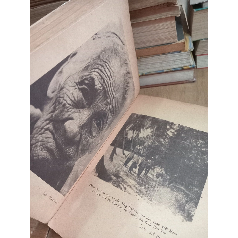 Tìm hiểu dân ca Nam Bộ - Lư Nhất Vũ, Lê Giang 747823