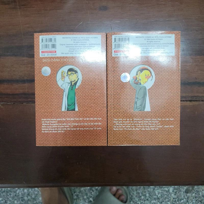 Truyện Conan tập 95, 96 453285