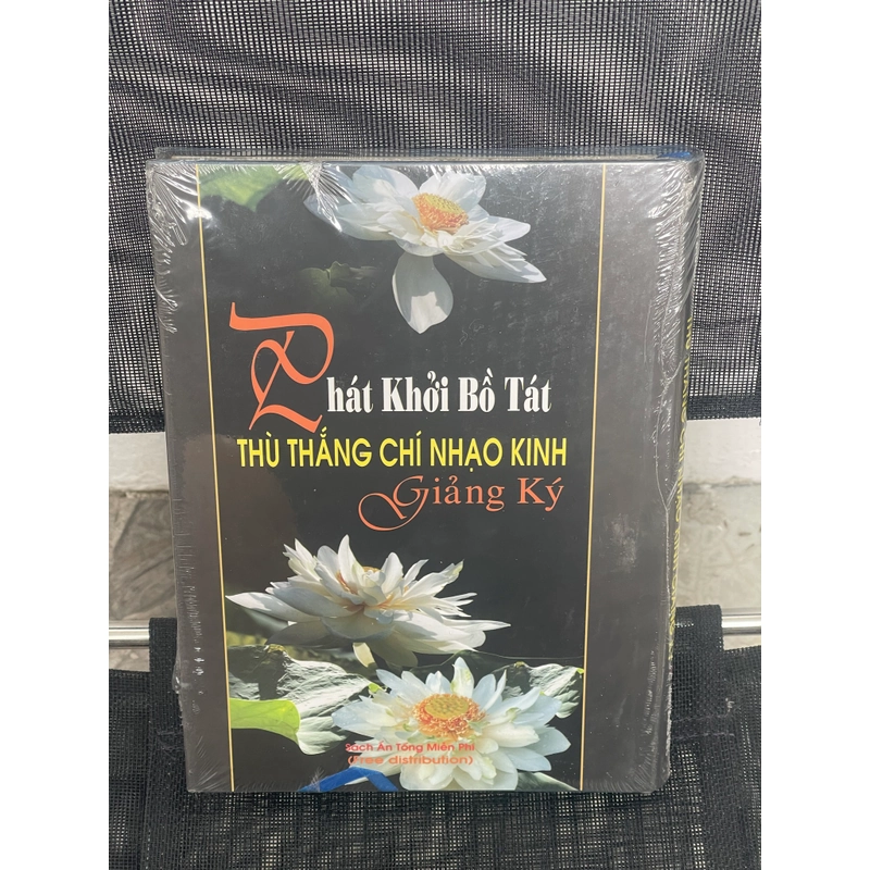 Phát khởi bồ tát thù thắng chí nhạo kinh 541951