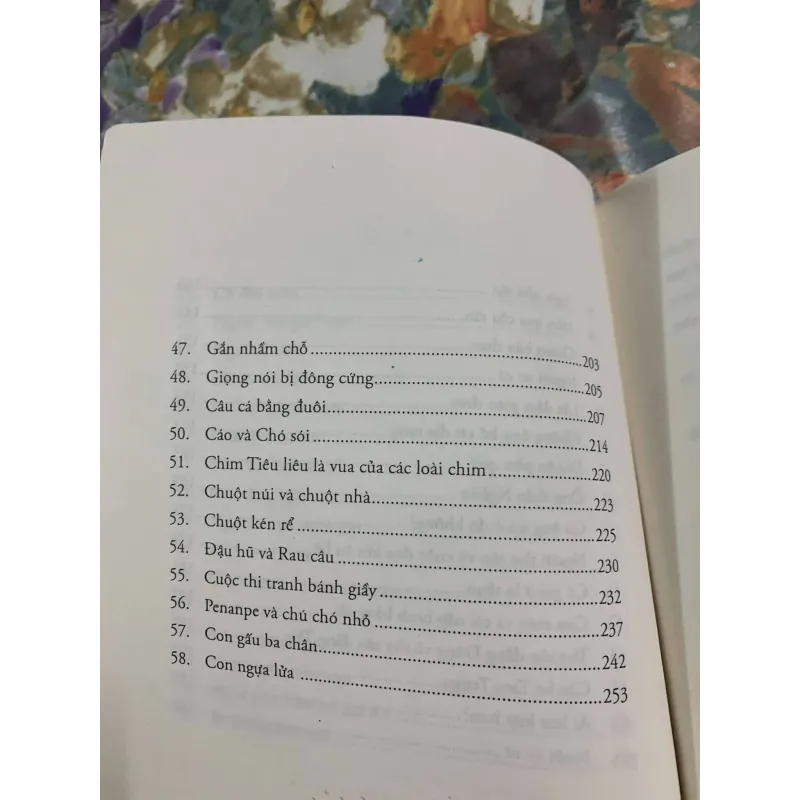Chuột Giã Bánh Giày (truyện cổ tích Nhật Bản) - Toshio Ozawa 558651