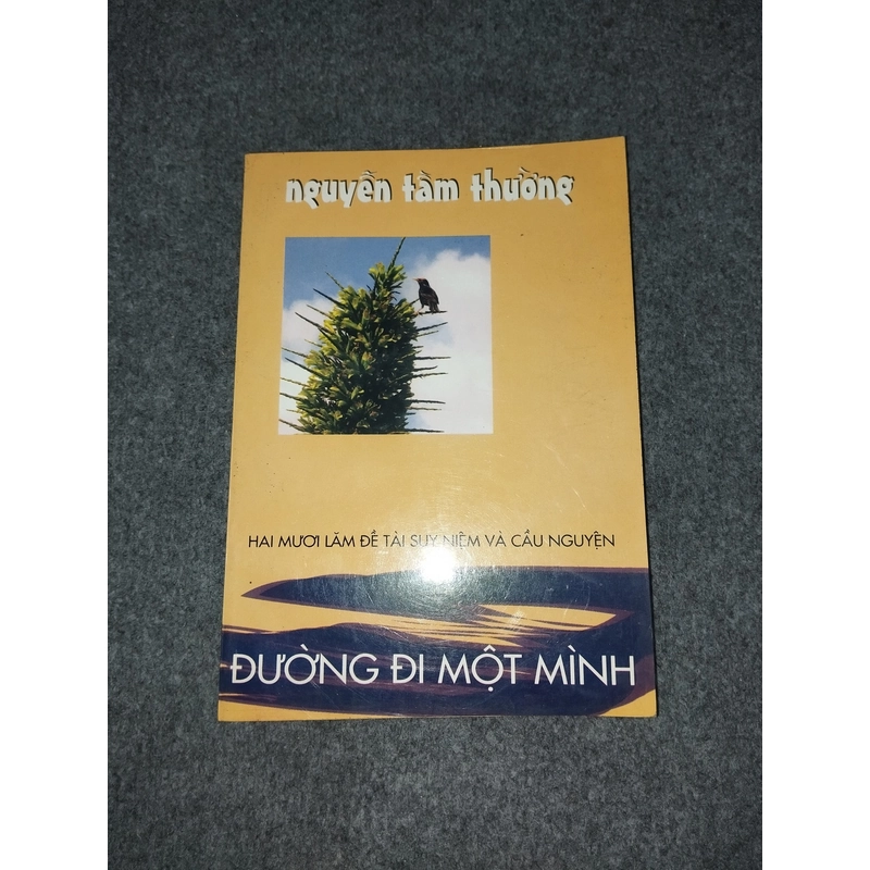 ĐƯỜNG ĐI MỘT MÌNH 517716