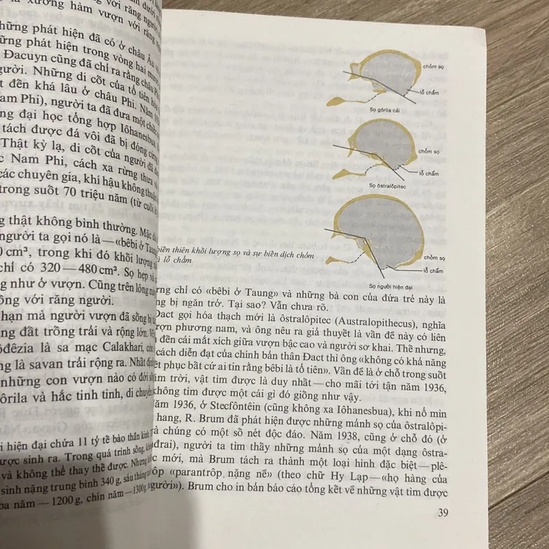 NGUỒN GỐC LOÀI NGƯỜI, in tại Liên Xô 1986 713649