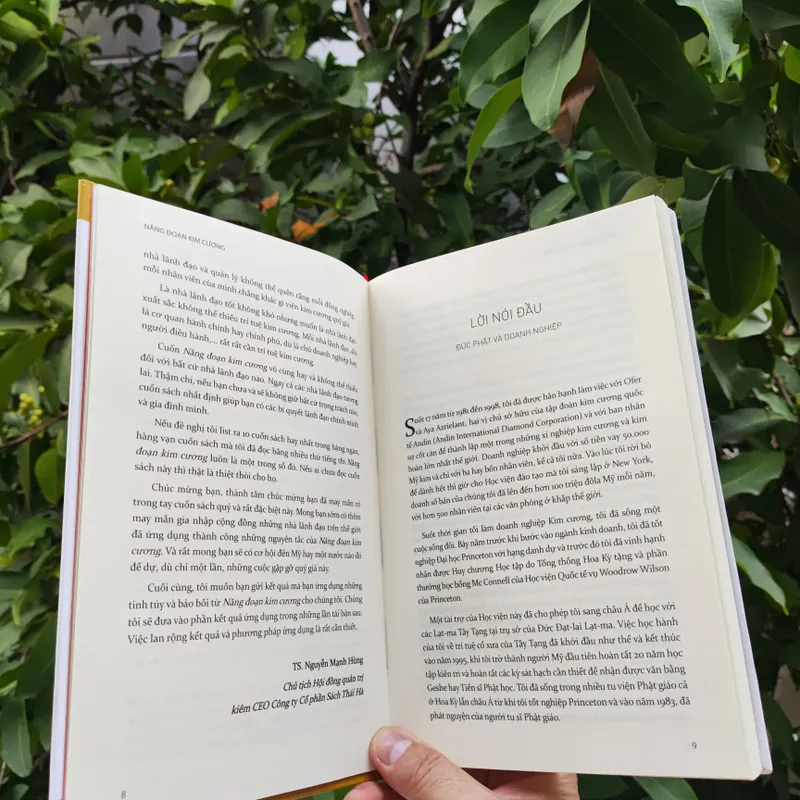 Năng Đoạn Kim Cương 706363