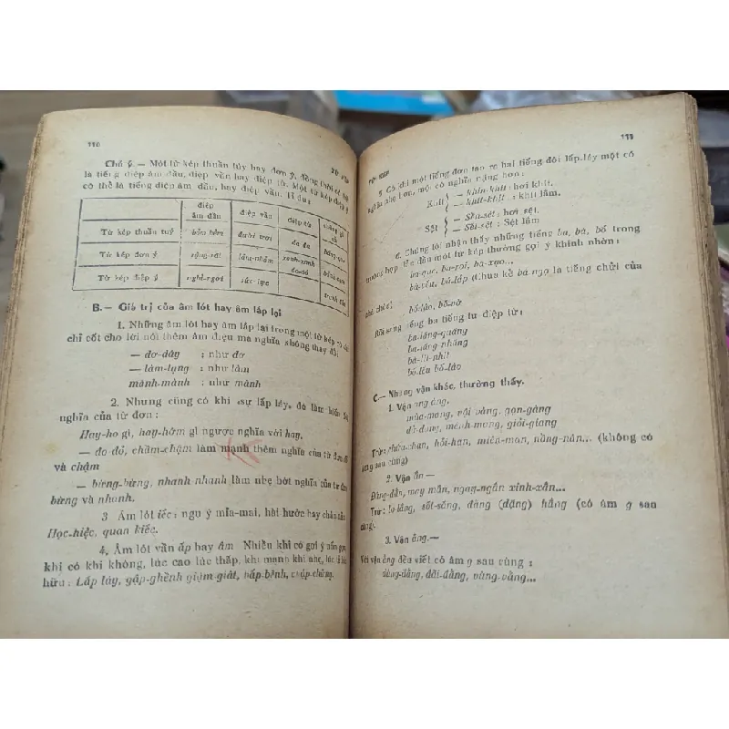 LƯỢC KHẢO VỀ NGỮ PHÁP VIỆT NAM - DOÃN QUỐC SỸ & ĐOÀN VIẾT BỬU 191561