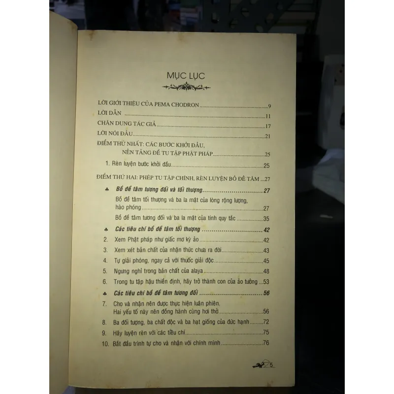 Rèn luyện tâm trí và vun bồi từ tâm - Chogyam Trungpa 781575