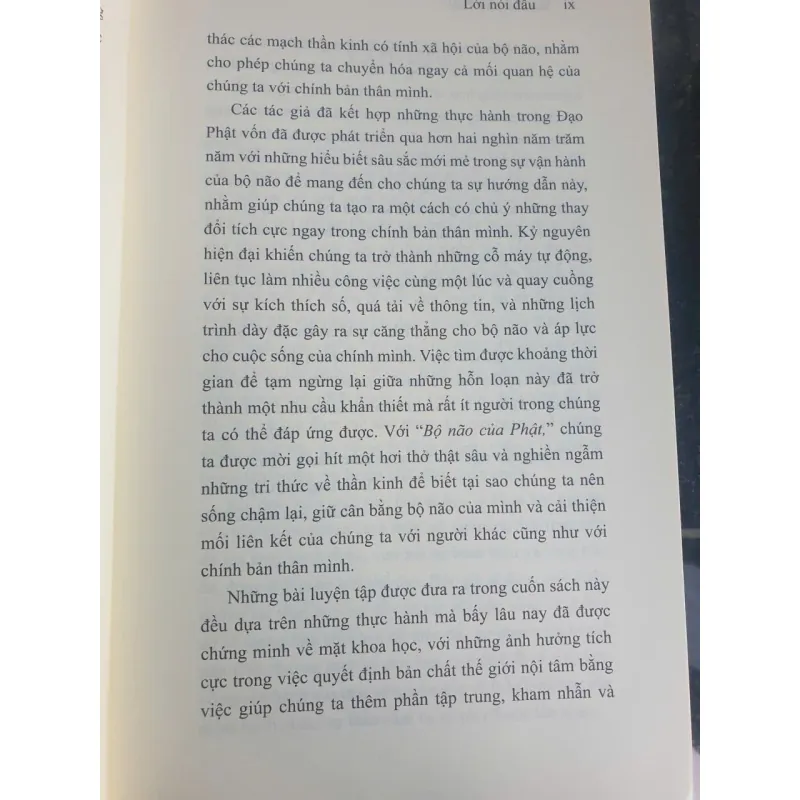 Bộ não của Phật - Hạnh phúc, Tình Thương và Trí tuệ 736981