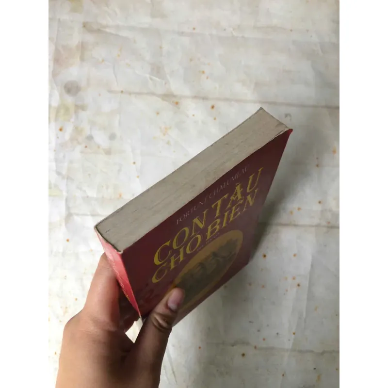 Con Tàu Chó Biển - Fortune Chalumeau 749513