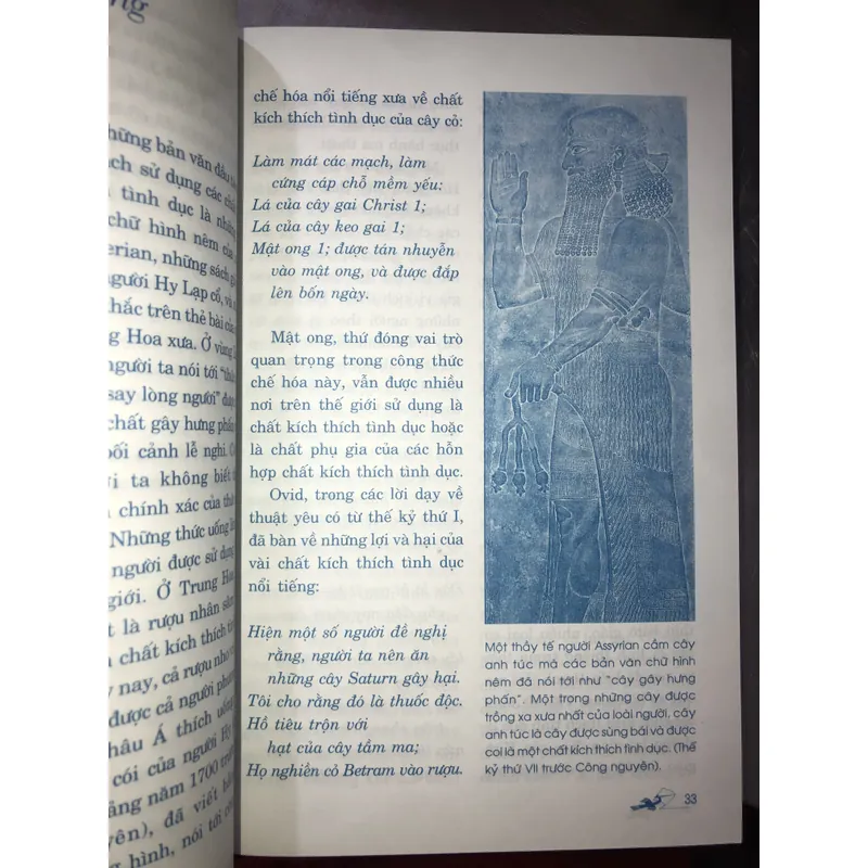 Thảo dược & tình yêu  714029