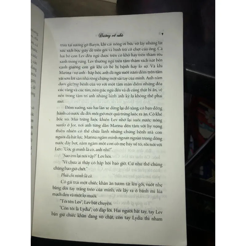 Đường về nhà - Rose Tremain 1020947