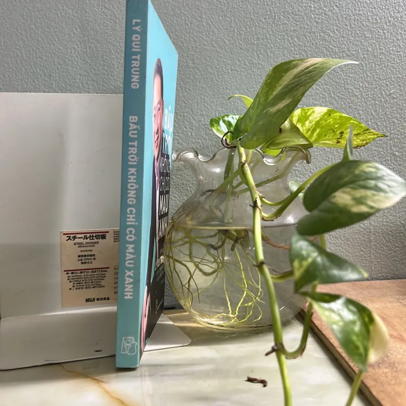 Bầu trời không chỉ có màu xanh- Lý Quí Trung 752117