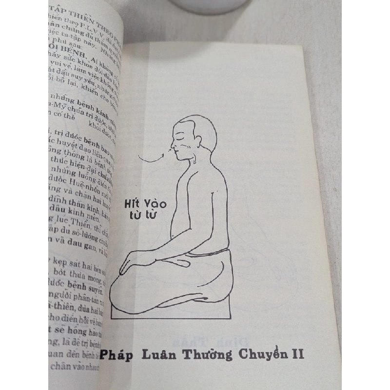 Thiền định theo pháp lý  vô vi - Hoàn Nguyên 776365