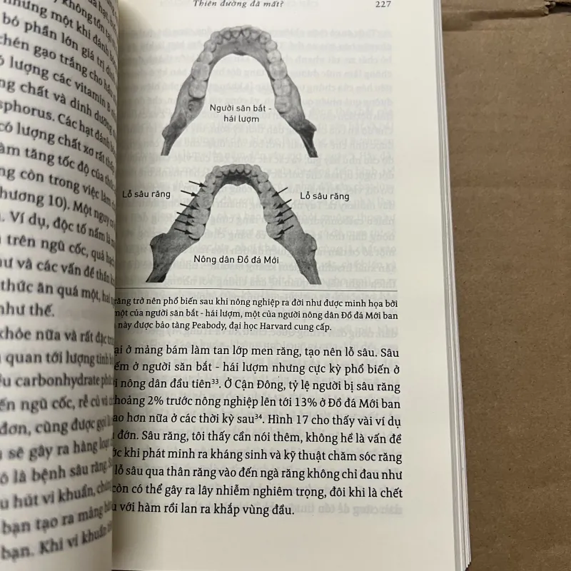 Câu Chuyện Cơ Thể Con Người 749209