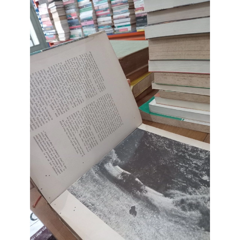 Le livre d'or des Chats 759549