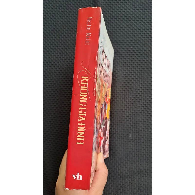 Không gia đình - Hector Melot 745401