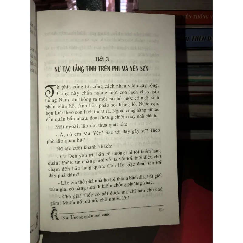 Nữ tướng miền sơn cước (Giặc cái) - Hoàng Ly 993328