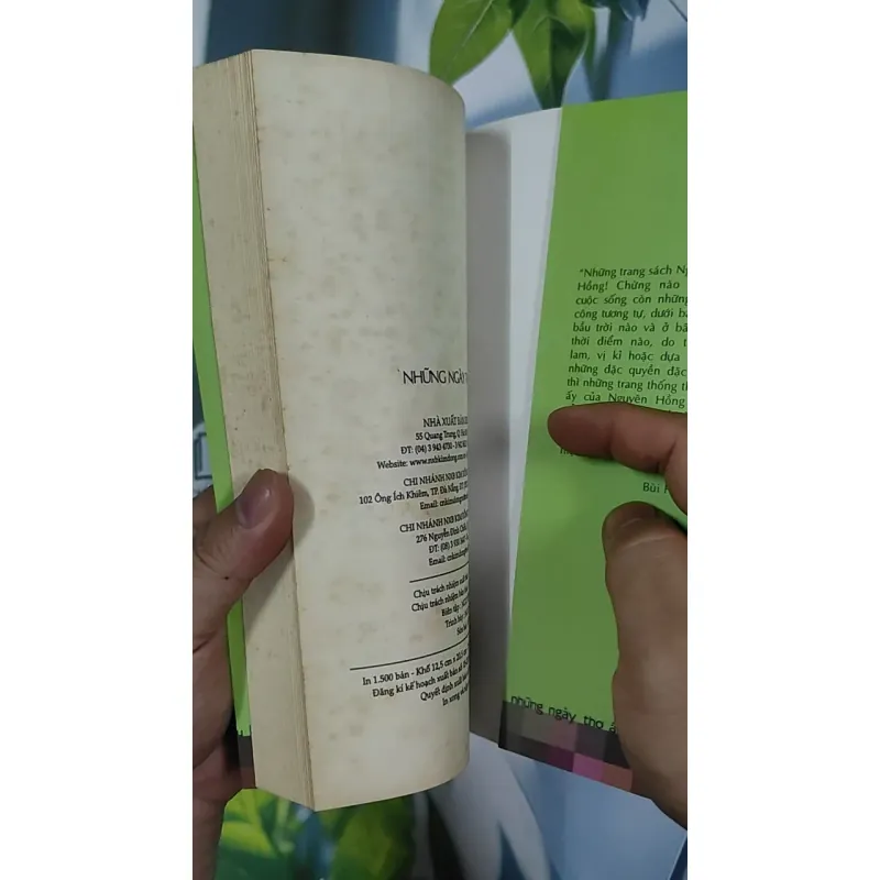 Những ngày thơ ấu - Nguyên Hồng 798507