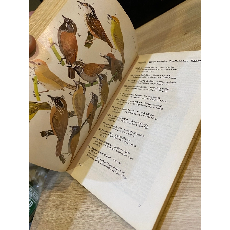 A Field Guide to the Birds of South-East Asia 533827
