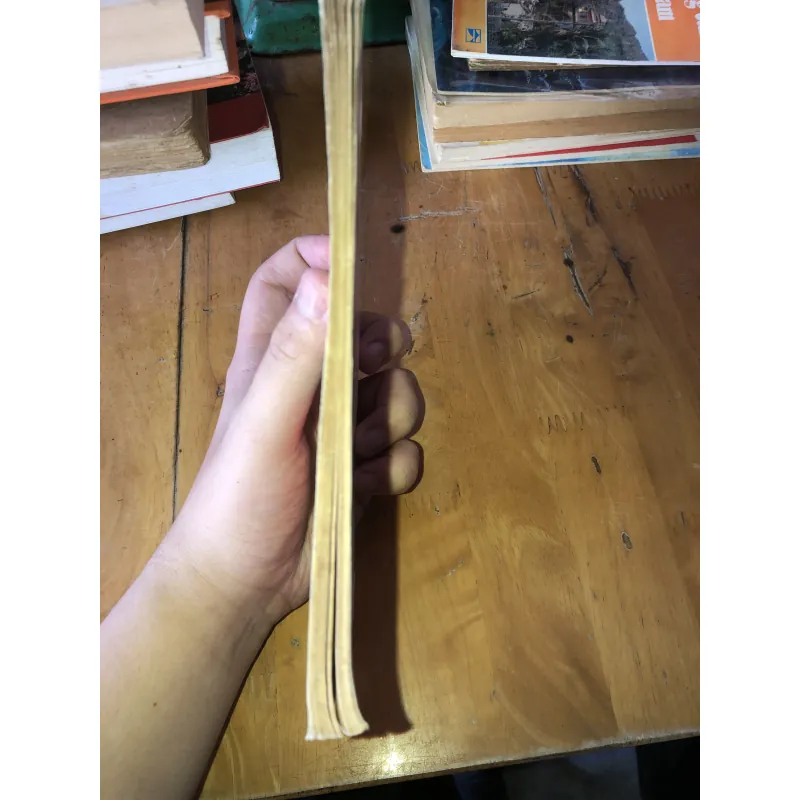 Gió Bụi Sài Gòn-Nhà Xuất Bản Kim Đồng 958008