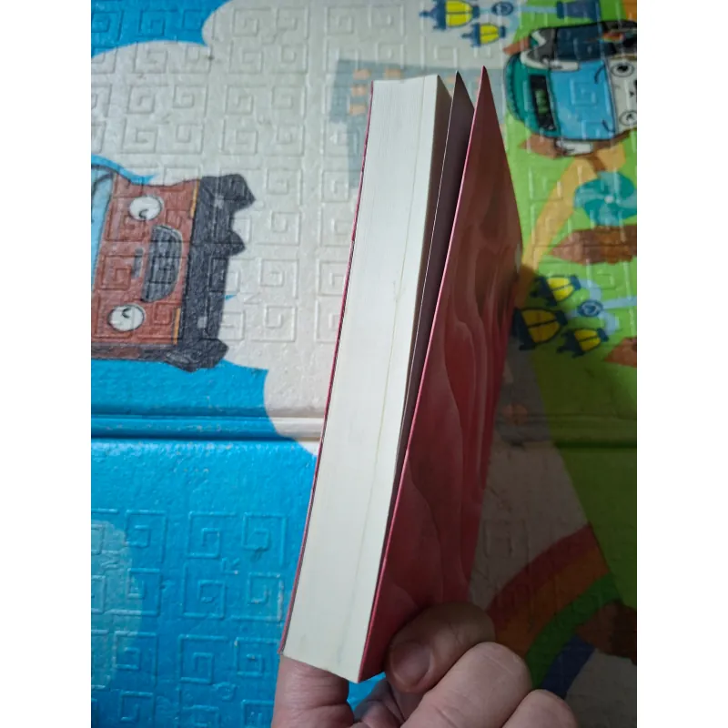 Tấm Gương Hai Mặt 789676