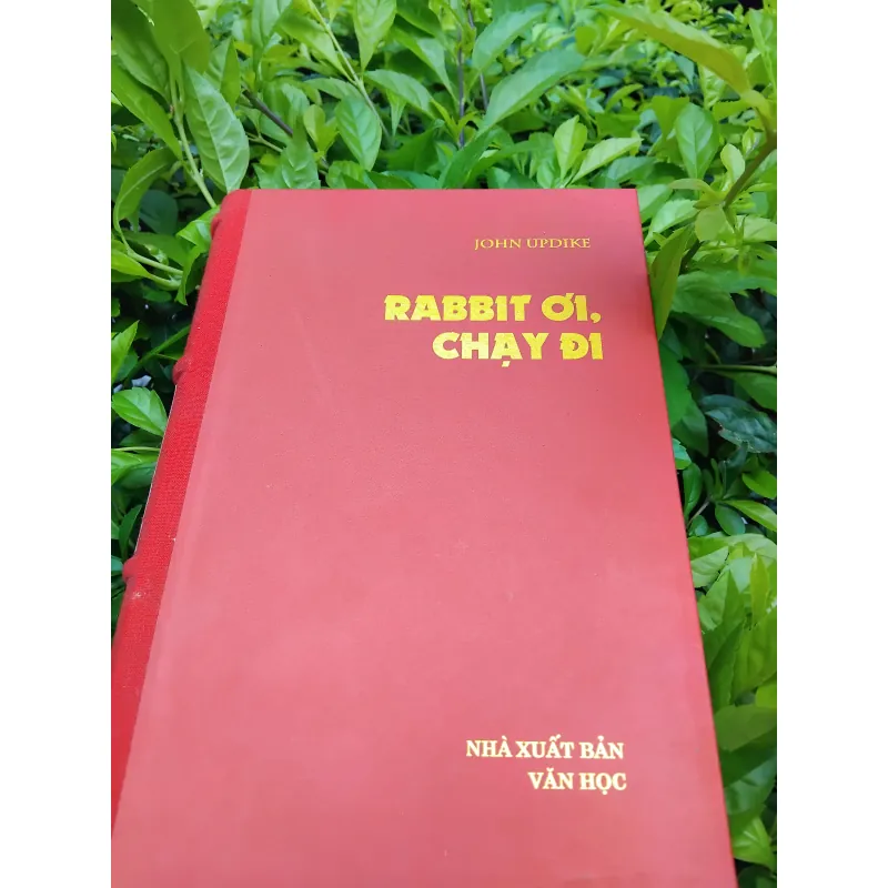 Rabbit ơi chạy đi của John Updike 936583