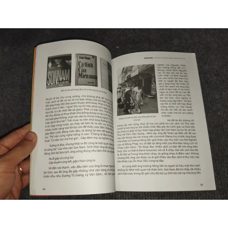 SƠN NAM: HẠT BỤI NGHIÊNG MÌNH NHỚ ĐẤT QUÊ 972491