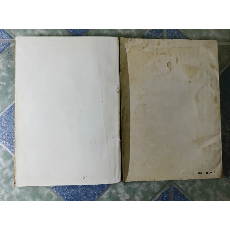 Luyện dưỡng sinh ( 2 tập) - Nguyễn Minh Kính 789143