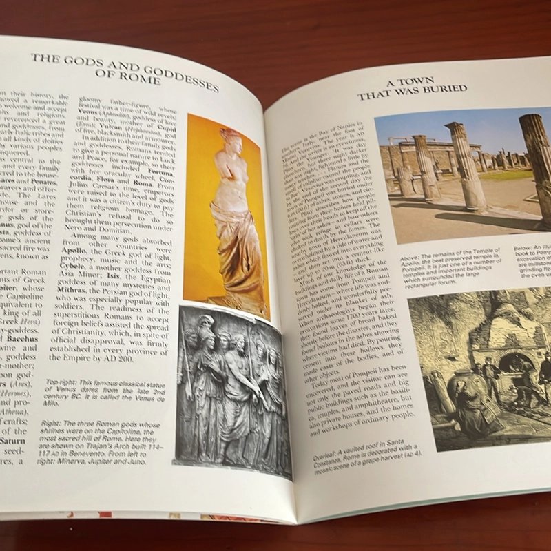PICTURE BOOK See inside a Roman town 534354