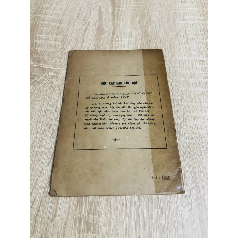 ĐẤT PHÈN Ở ĐỒNG BẰNG SÔNG CỬU LONG  956939