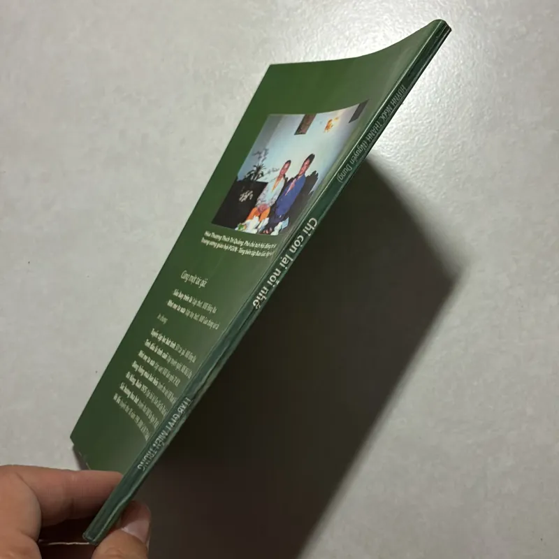 Chỉ còn lại nỗi nhớ - Nguyên Dung 756268