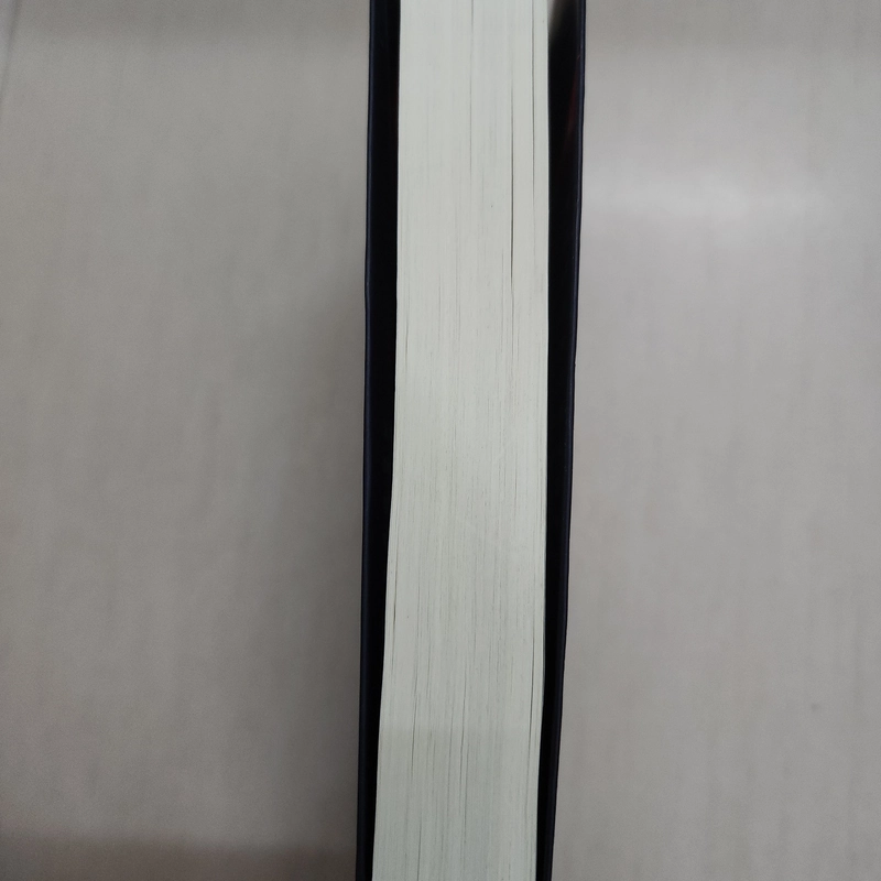 Sách Thay đổi tư duy bứt phá thành công của Jonah Sachs mới 95% 509392