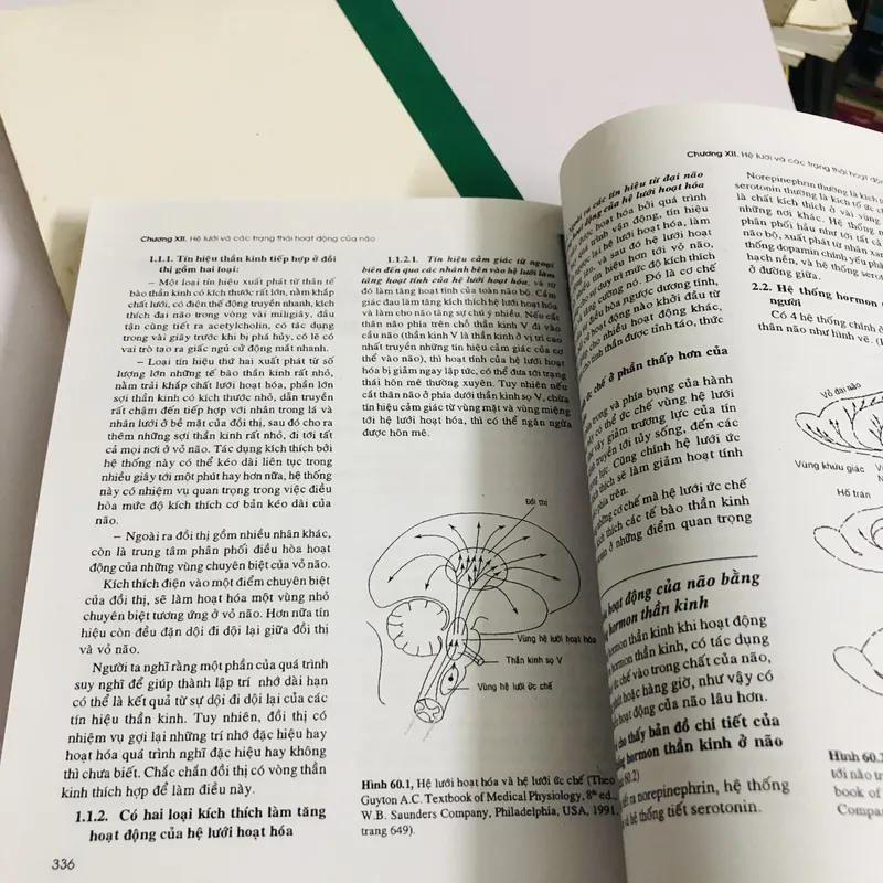 THỰC TẬP HOÁ SINH Y HỌC  675231