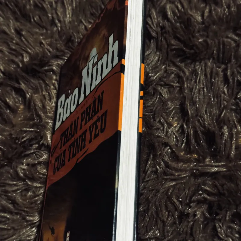 Thân phận của tình yêu (bìa cứng) 933905