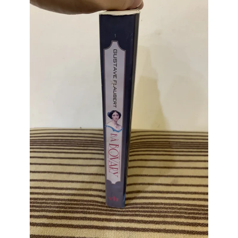 Bà Bovary  936206