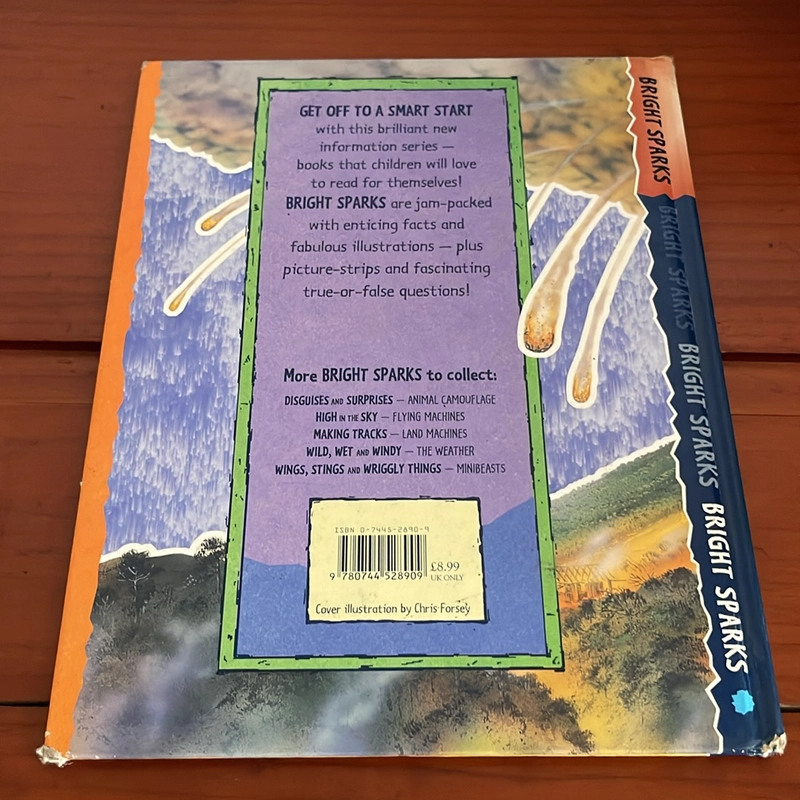 PICTURE BOOK Rocking and rolling 536078
