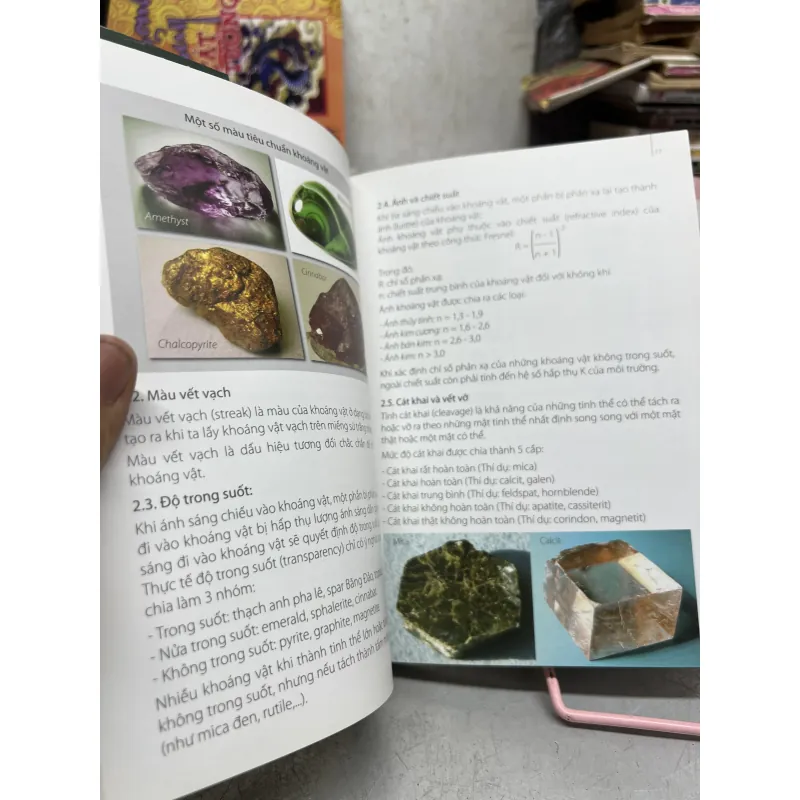 Nghệ thuật thưởng ngoạn đá cảnh 971284