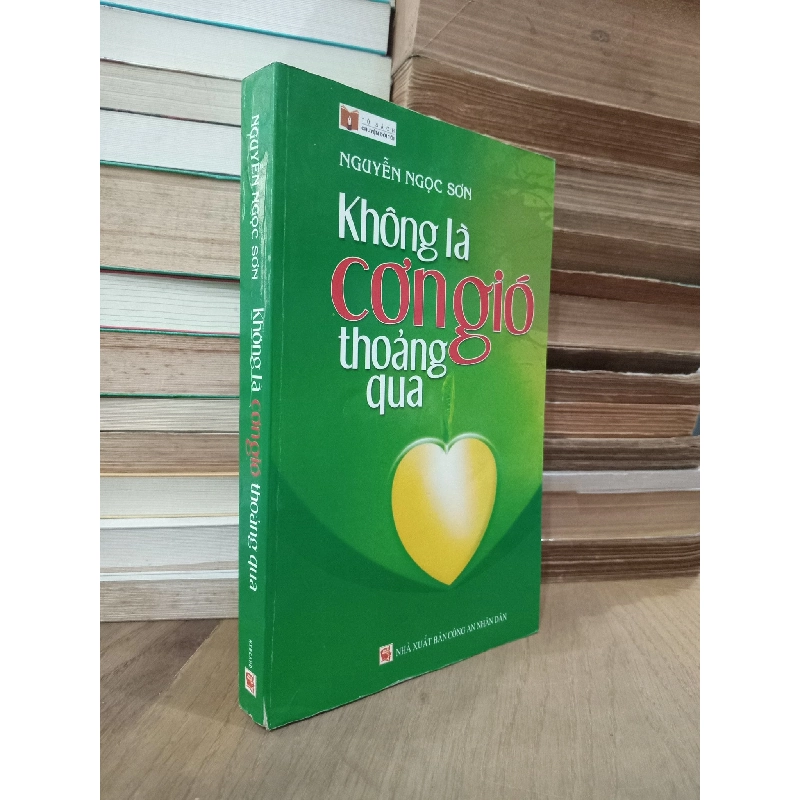 Không là cơn gió thoảng qua - Nguyễn Ngọc Sơn 799693