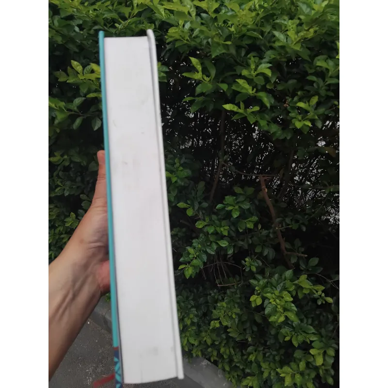 Các dân tộc ít người ở Việt Nam ( các tỉnh phía Bắc )  1001894