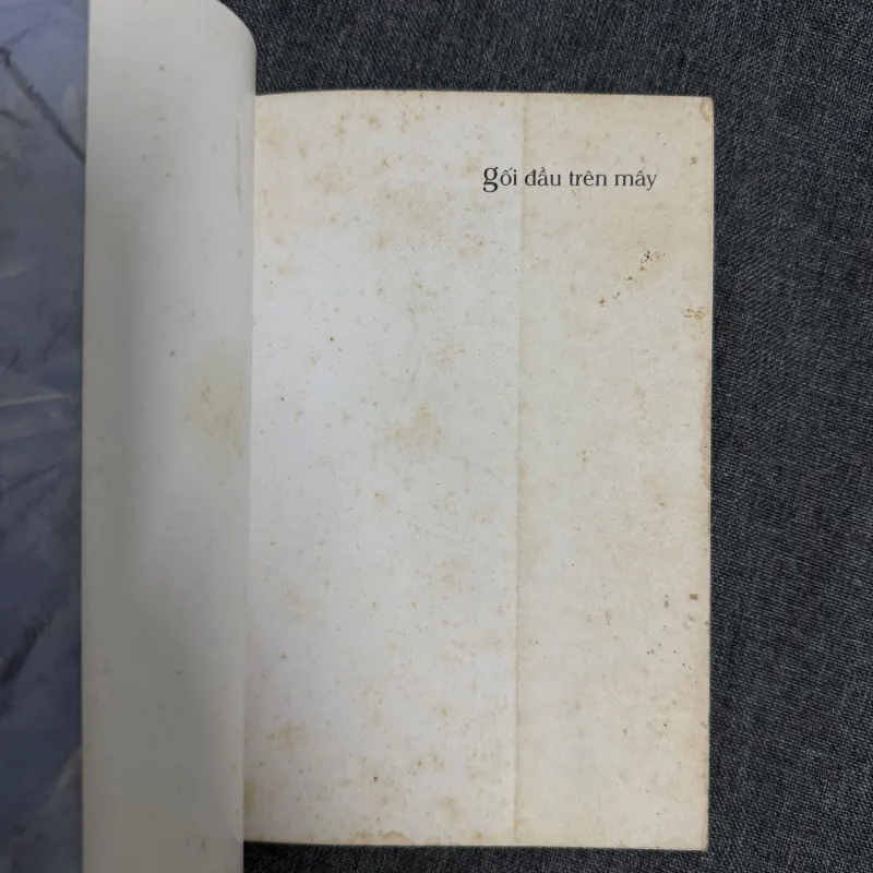 Gối đầu trên mây - Trần Nhã Thụy 1010590