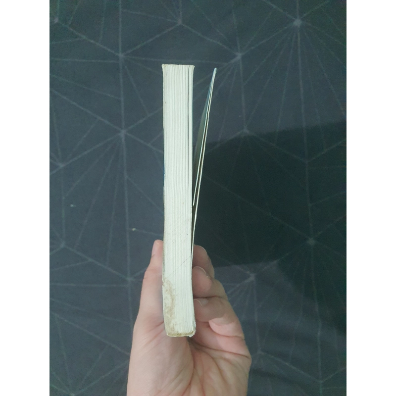 "Này những phong hoa tuyết nguyệt" - Công Tử Hoan Hỉ 493209