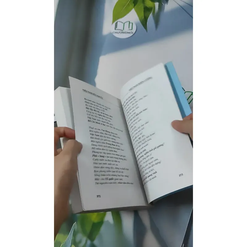 Việt Nam Bất Khuất - Việt Nam Kiên Cường - Hồng Lam Vũ Đình Hệ 928612