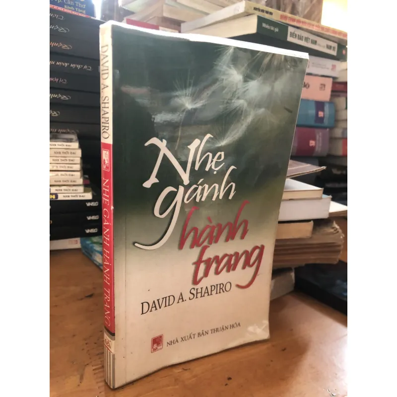 Nhẹ gánh hành trang - David A.Shapiro 1042020