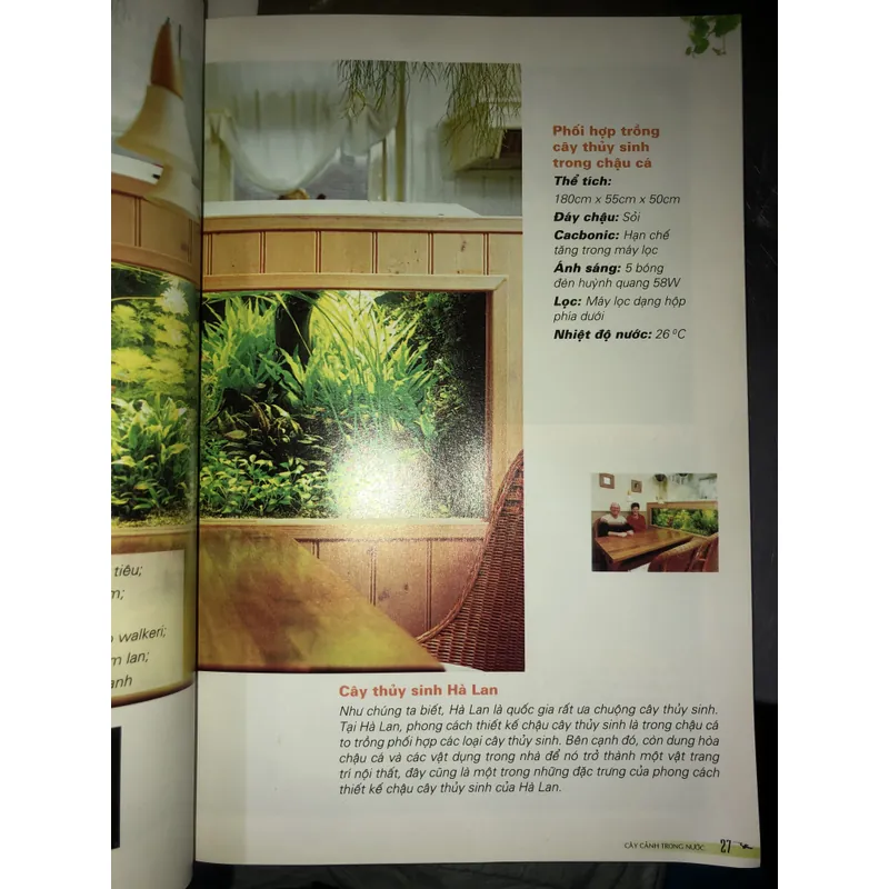Cây cảnh trong nước - Trồng và chăm sóc 100 loại cây cảnh trong nước  732804